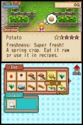 Harvest Moon Grand Bazaar - screenshot}