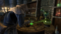 The Elder Scrolls V: Skyrim - screenshot}