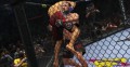 UFC Undisputed 3  - screenshot}