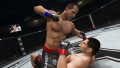 UFC Undisputed 3  - screenshot}