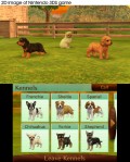 Nintendo 3DS Selects Nintendogs & Cats: Toy Poodle - screenshot}