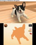 Nintendo 3DS Selects Nintendogs & Cats: Toy Poodle - screenshot}