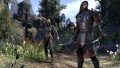 The Elder Scrolls Online: Gold Edition - screenshot}