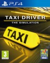 Taxi Driver The Simulation