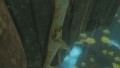 The Legend of Zelda: Tears of the Kingdom - screenshot}